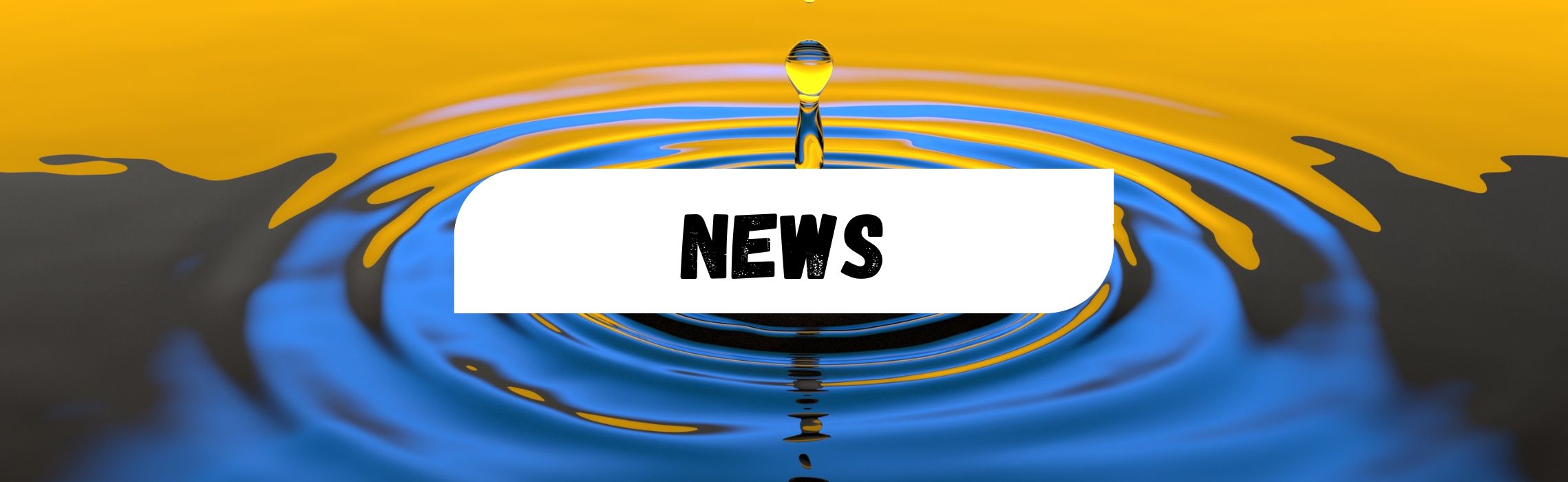 Lire la suite à propos de l’article Nouveau site internet de l&rsquo;ACGJJJ